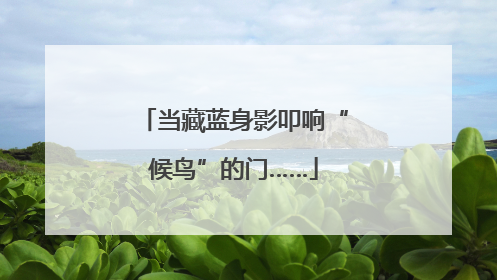 当藏蓝身影叩响“候鸟”的门……